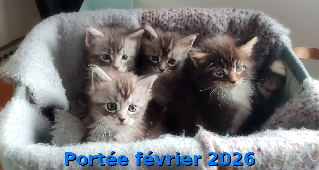 Portée 2026